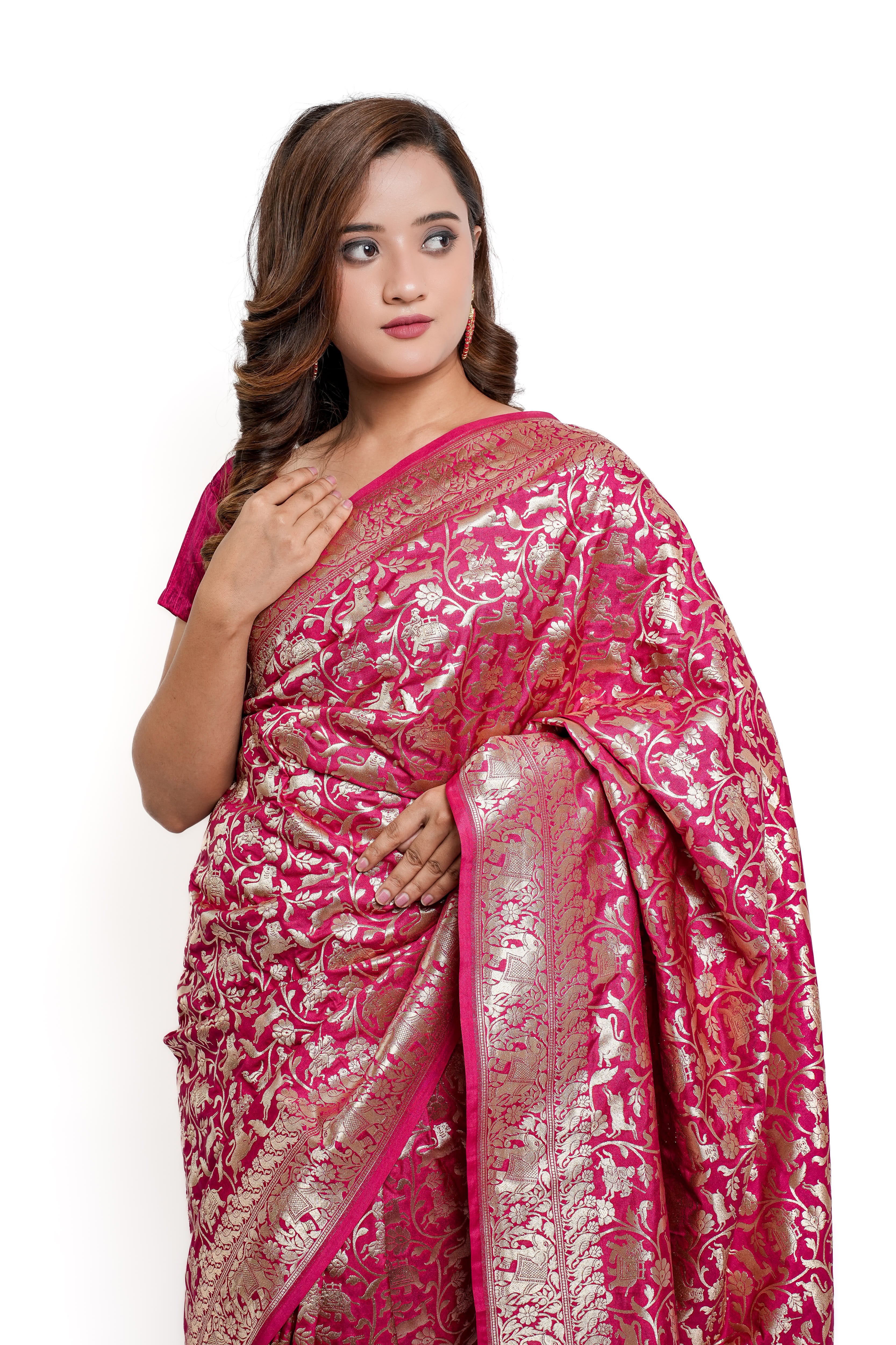 Banarasi Silk Saree(Rani Pink, Shikargah)
