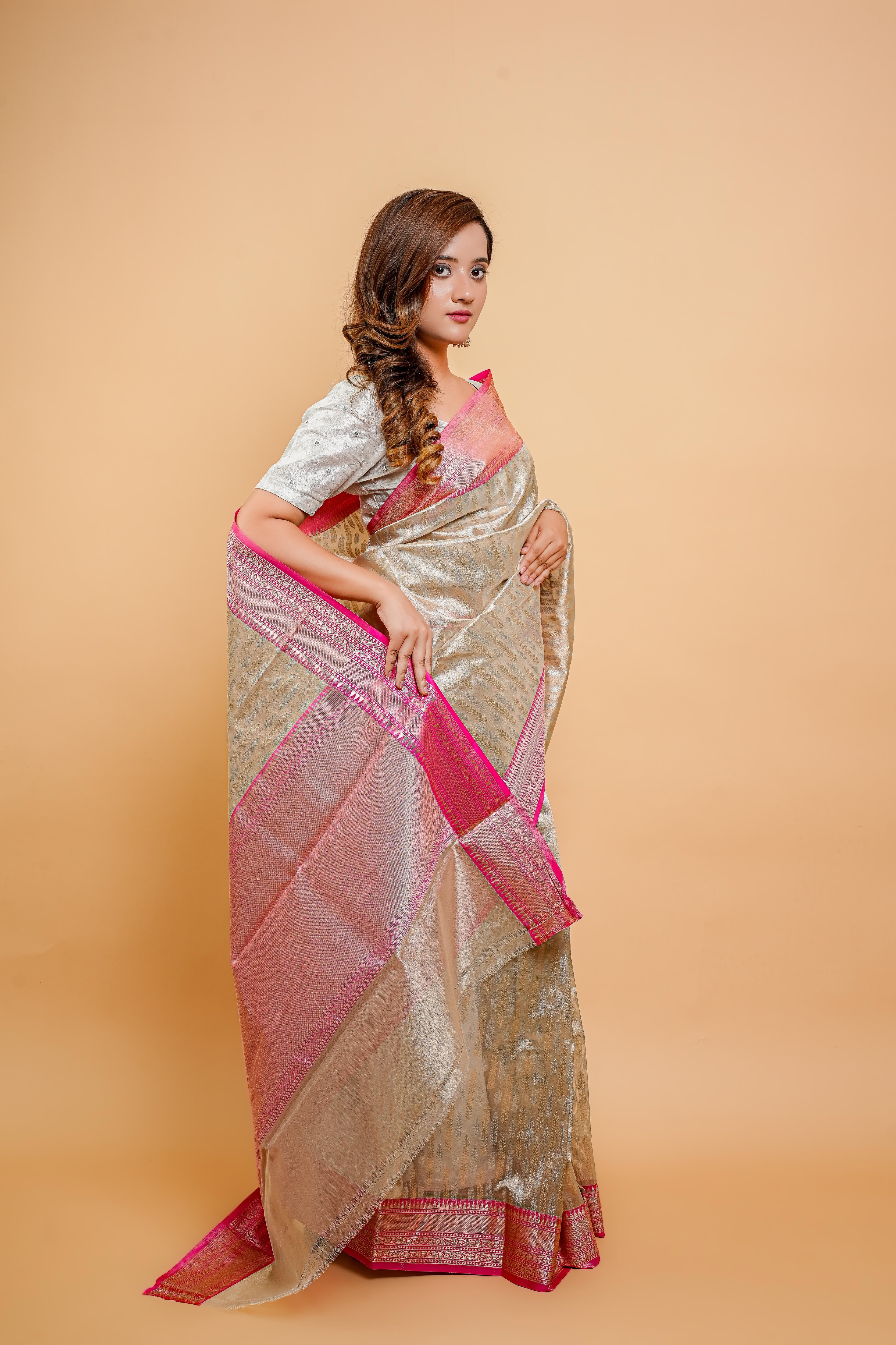 Banarasi Tissue Saree(Beige)
