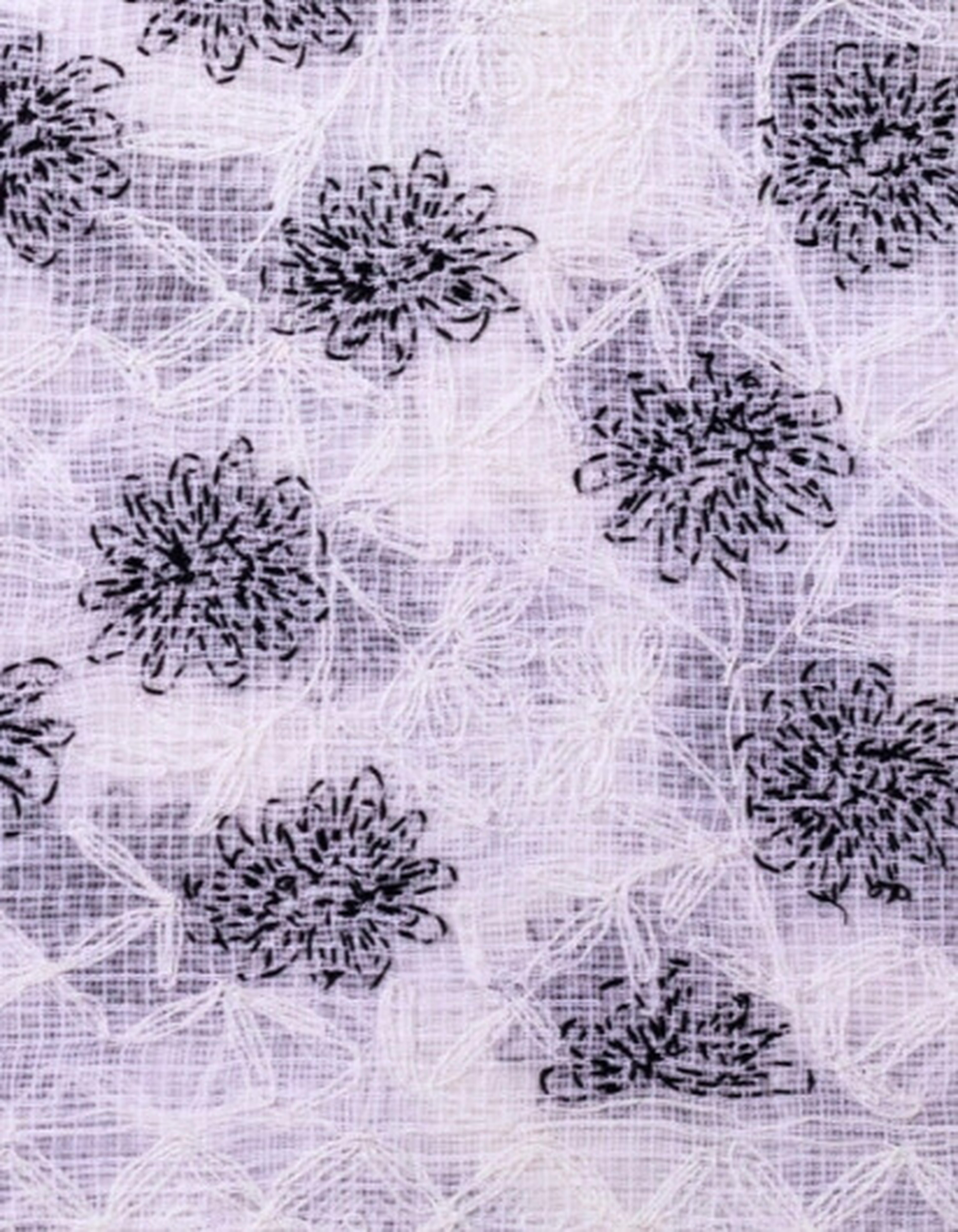 Kota Kurti(or Dupatta) with Tepchi Chikankari Work(2.5m, Unstitched, White Base)